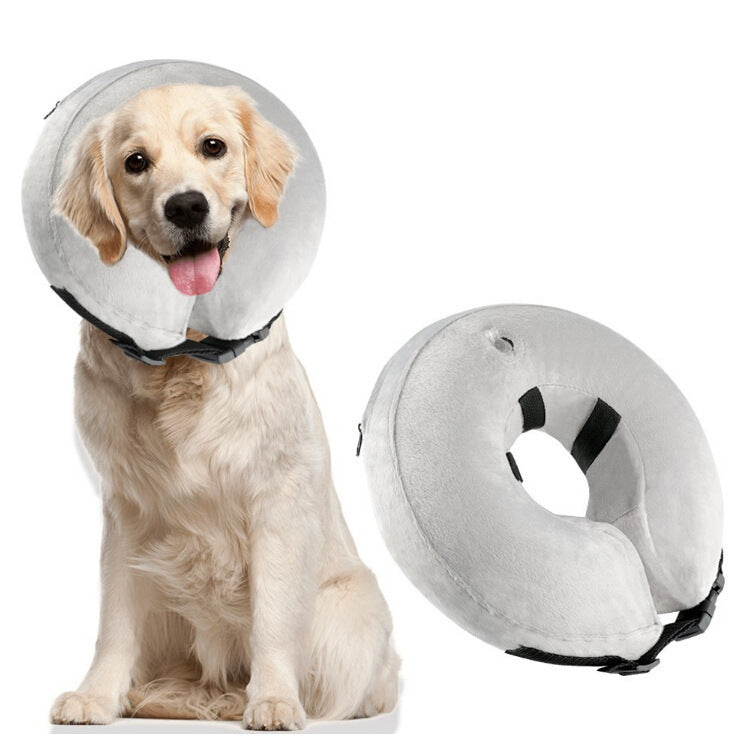 Collares inflables para mascotas